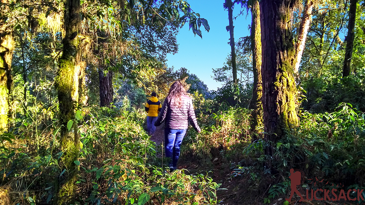 Homedara : rucksack.co.in